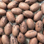 Whole Almond Nuts in Shell 5kg