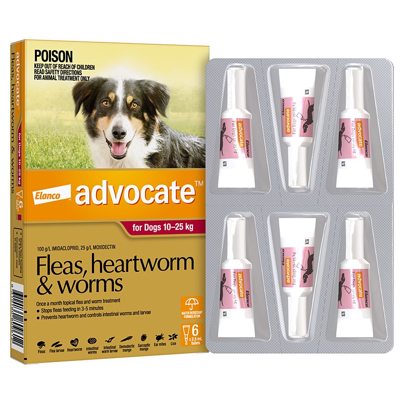 Advocate Flea & Worming Treatment