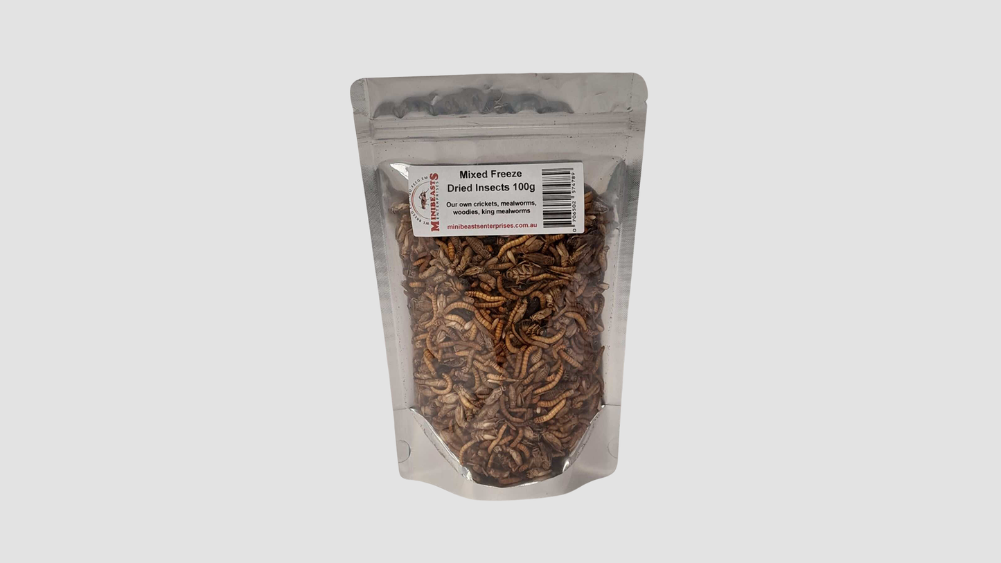 Minibeasts Freeze Dried
