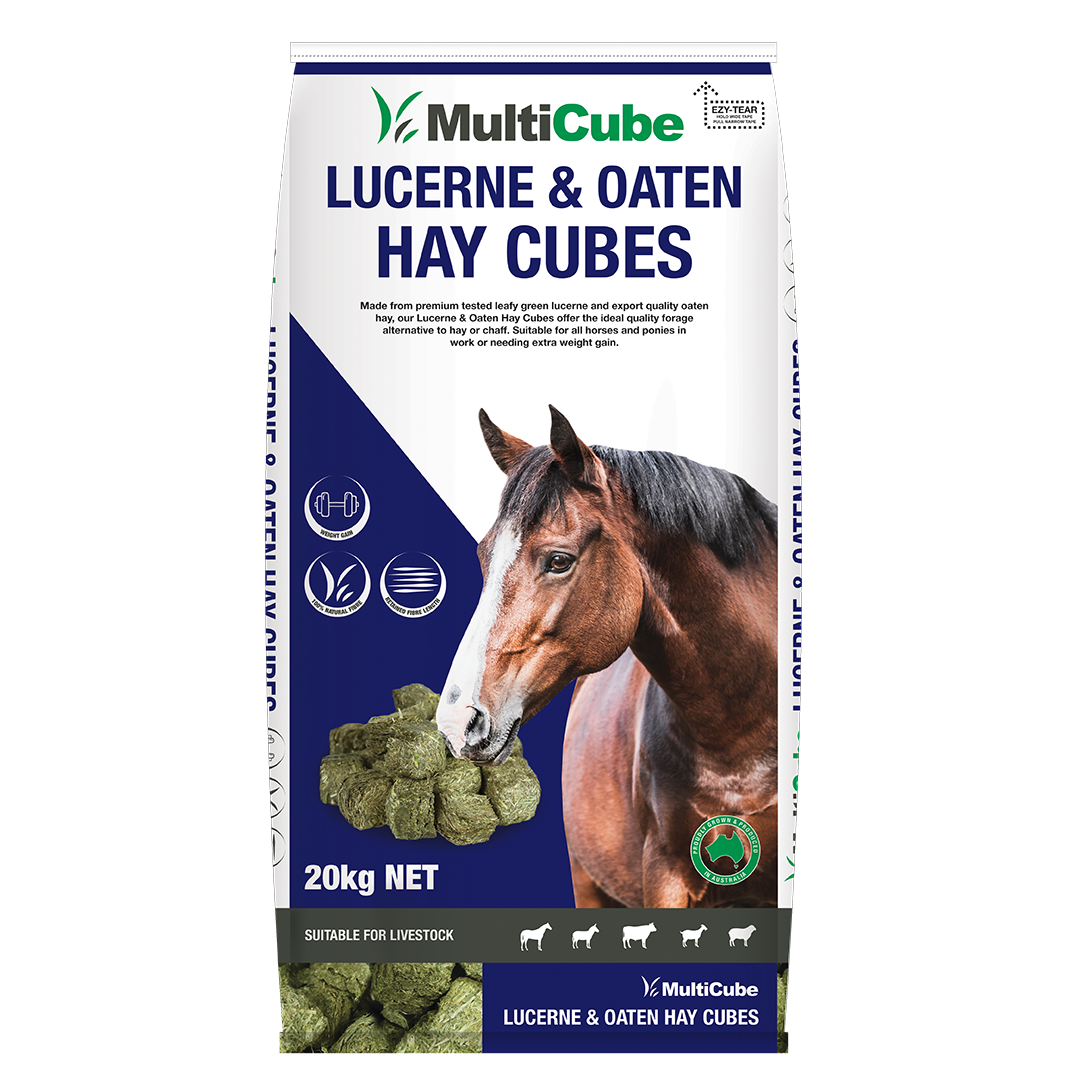 Multicube Hay Cubes 20kg