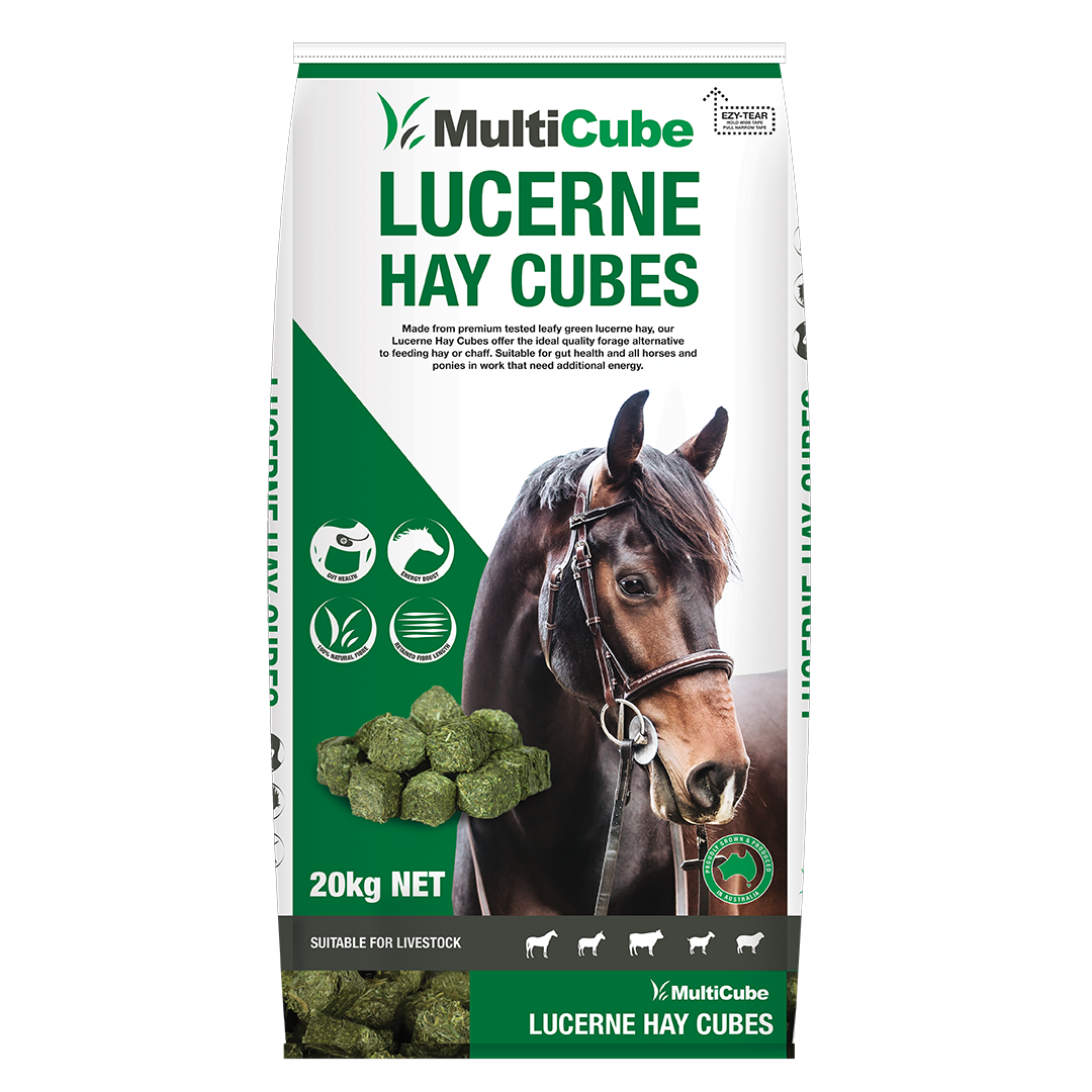 Multicube Hay Cubes 20kg