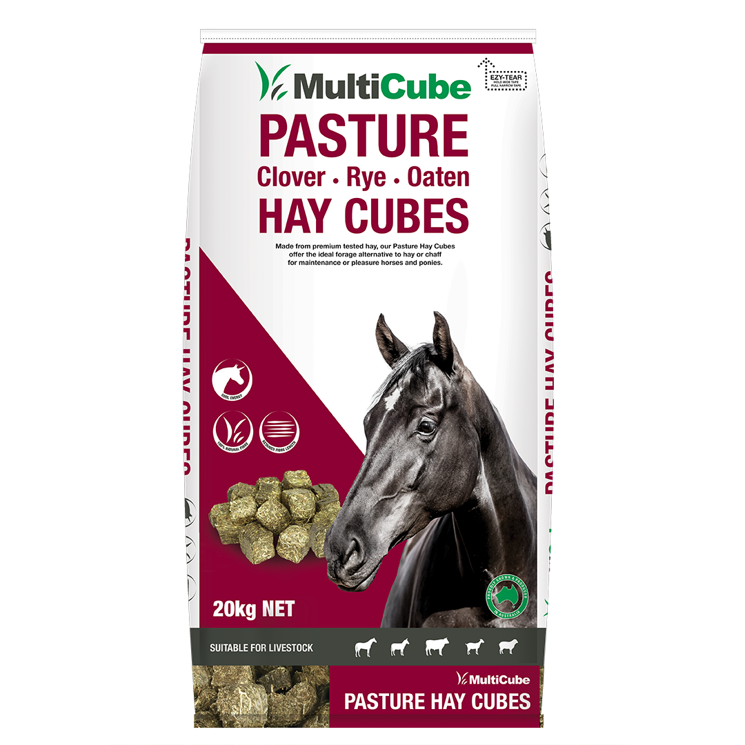 Multicube Hay Cubes 20kg