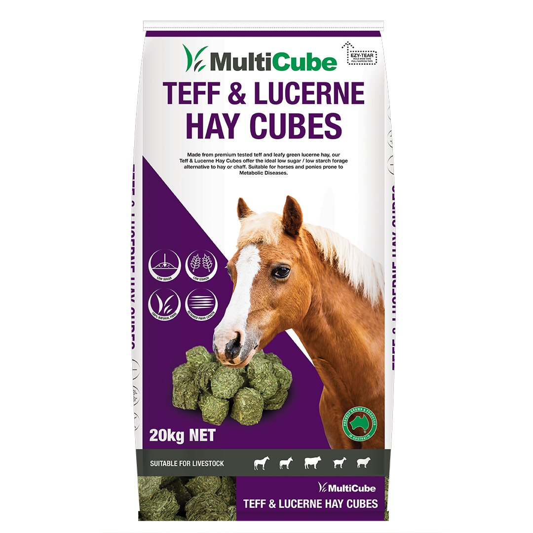 Multicube Hay Cubes 20kg