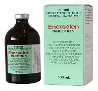 Ausrichter Enerselen Injection 100ml