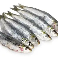 Frozen Sardines 500g