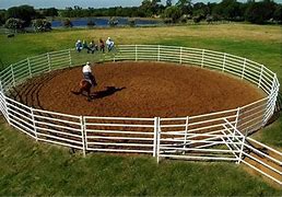 Brazzen Horse Round Yard Panel