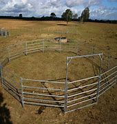 Brazzen Horse Round Yard Panel