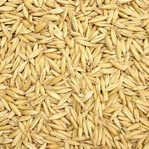 Wild Acres Oats 20kg