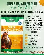 Relax Super Balancer Plus