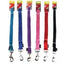Pet One Dog Leash Nylon Reflective 150cm x 20mm