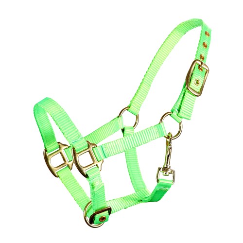 Piccolo Premium Mini Horse Nylon Halter