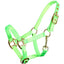 Piccolo Premium Mini Horse Nylon Halter