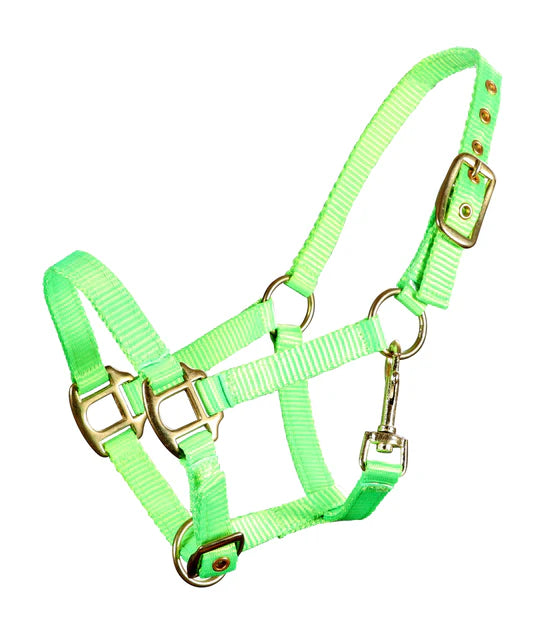 Piccolo Premium Mini Horse Nylon Halter