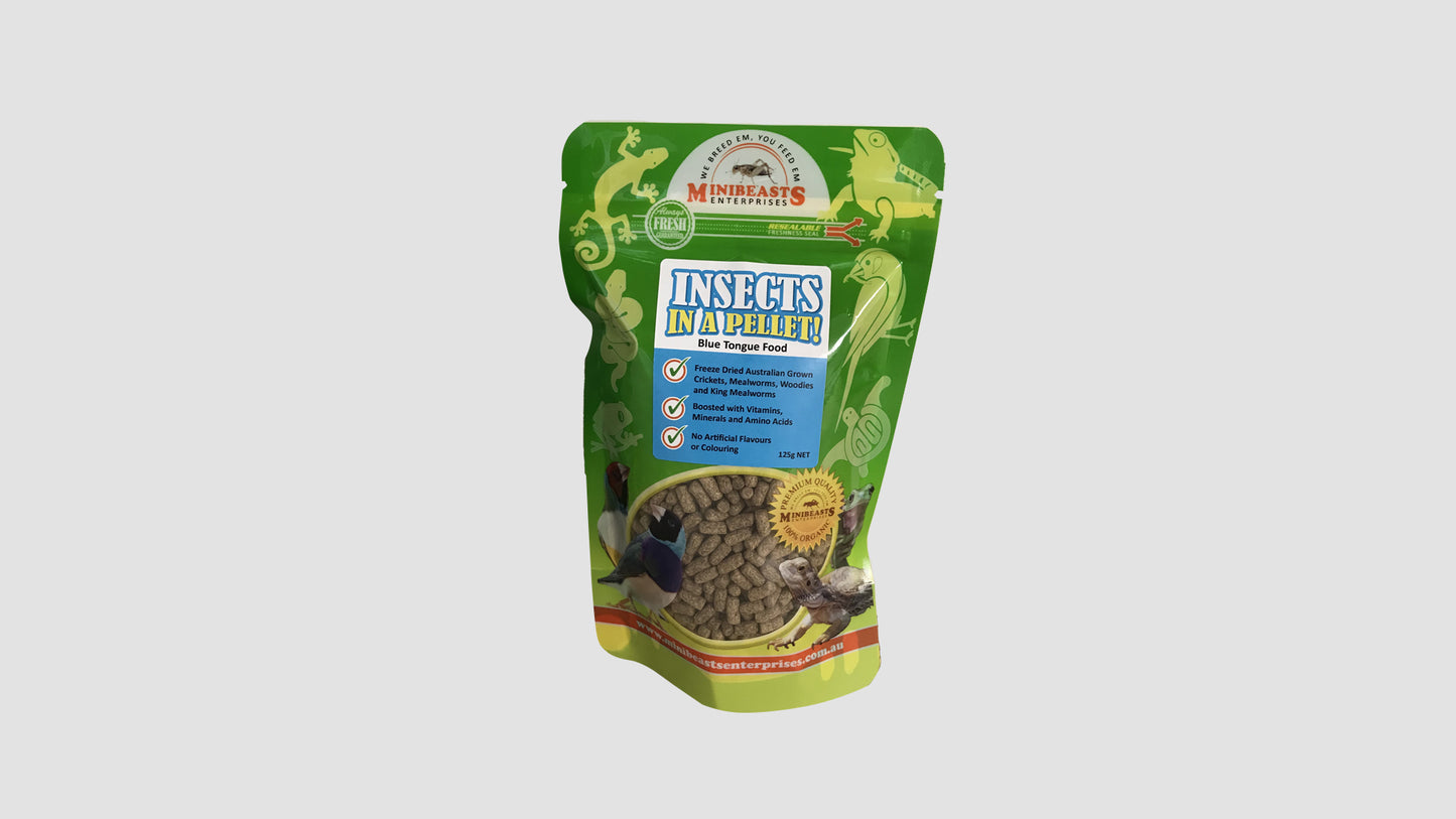 Minibeasts Insects in a Pellet