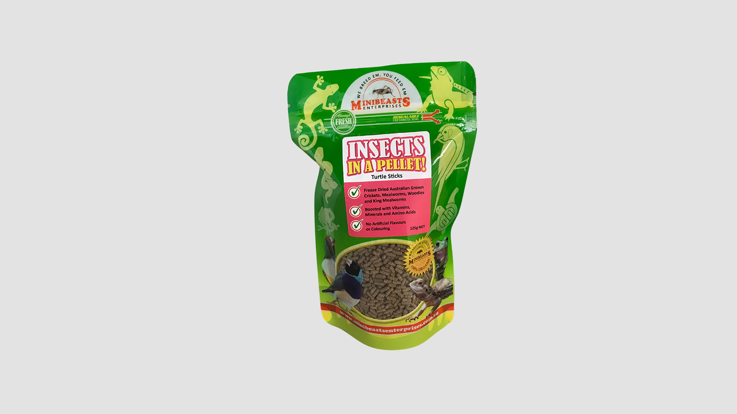 Minibeasts Insects in a Pellet