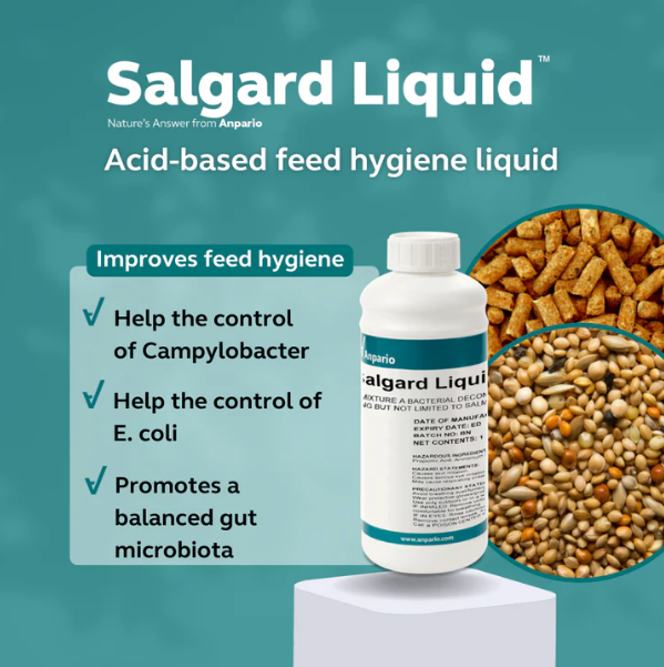 Salgard Liquid 1L