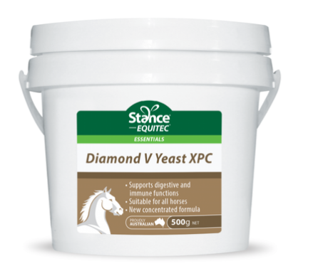 STANCE ESSENTIALS DIAMOND V YEAST 2KG