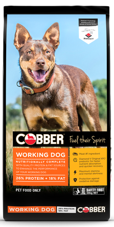 Cobber Working Dog 20kg