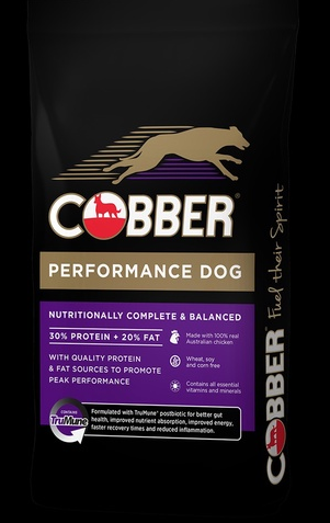 Cobber Performance Dog 20kg