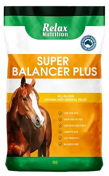 Relax Super Balancer Plus