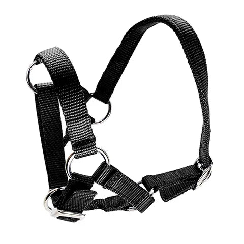 BainBridge Alpaca Halter