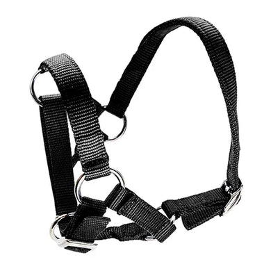BainBridge Alpaca Halter