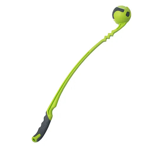 BainBridge - Squeak Squad - Dog Toy