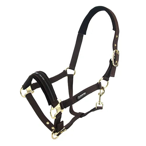 BAINBRIDGE HORSE HALTERS