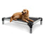 BainBridge Dog Bed Chew Proof
