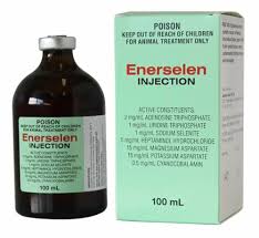 Ausrichter Enerselen Injection 100ml