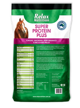 Relax Super Protein Plus