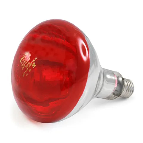 PHILLIPS INFRARED LIGHT BULB