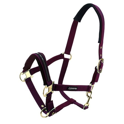 Bainbridge Horse Halter Purple