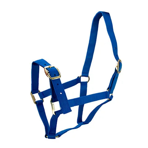 BAINBRIDGE HORSE HALTERS