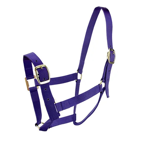 BAINBRIDGE HORSE HALTERS