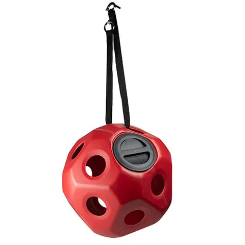 BainBridge Slow Feed Ball - Large