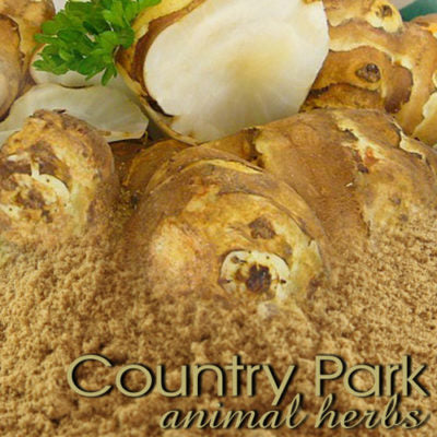 Country Park Ginger Powder 1Kg