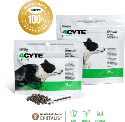 4Cyte Canine Joint Support Granules 100g
