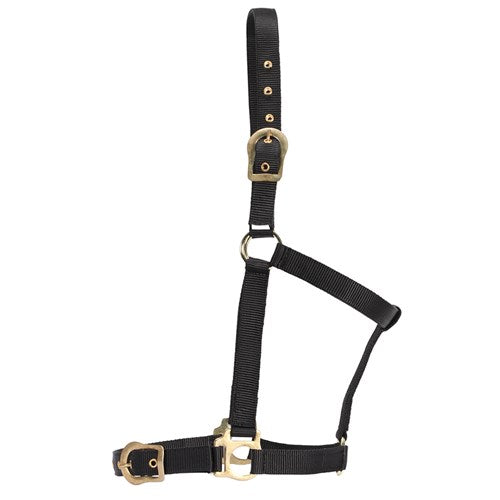 Saddlery Trading Halter w/Brass Buckles Black FULL