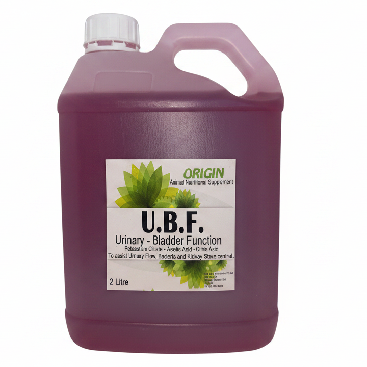 Origin - OPL UBF Urinary Bladder Function