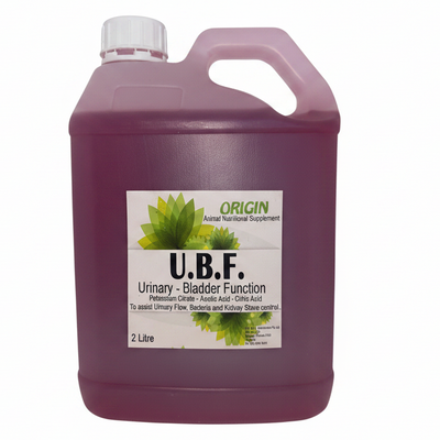 Origin UBF Urinary Bladder Function