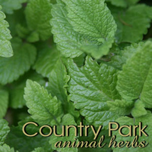 Country Park Lemon Balm 1Kg