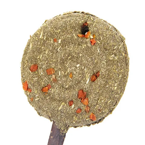 Bainbridge Timothy Lollipop Carrot