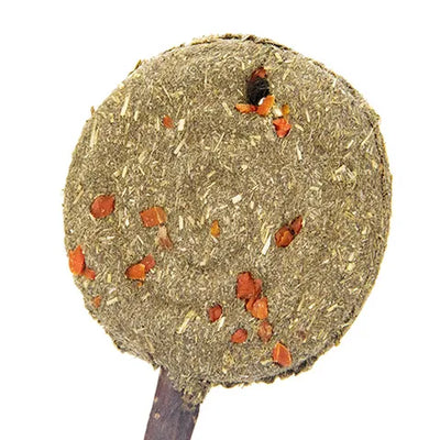 Bainbridge Timothy Lollipop Carrot
