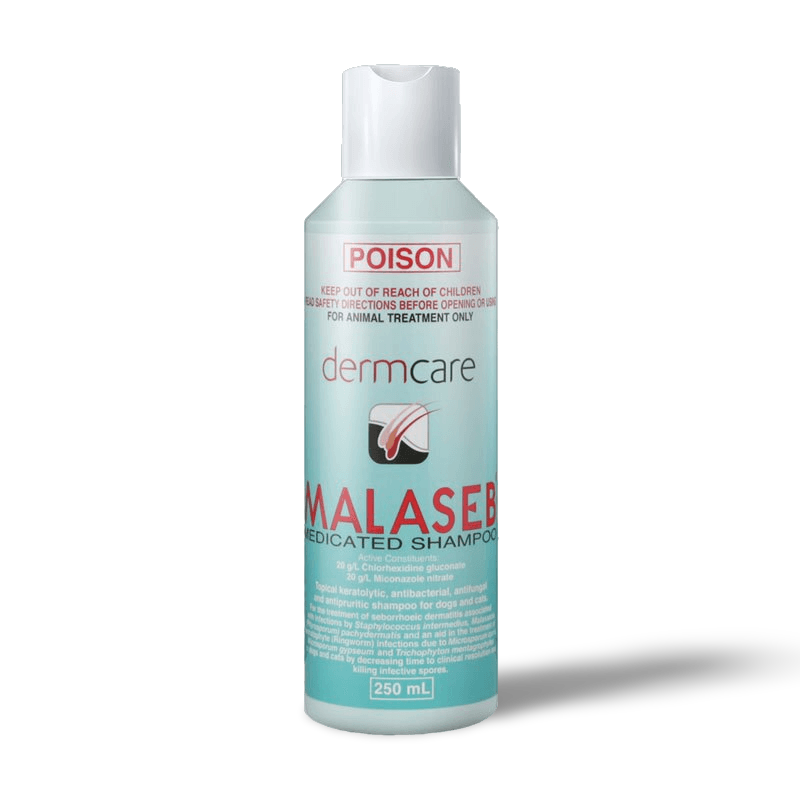 Dermcare Shampoo Malaseb