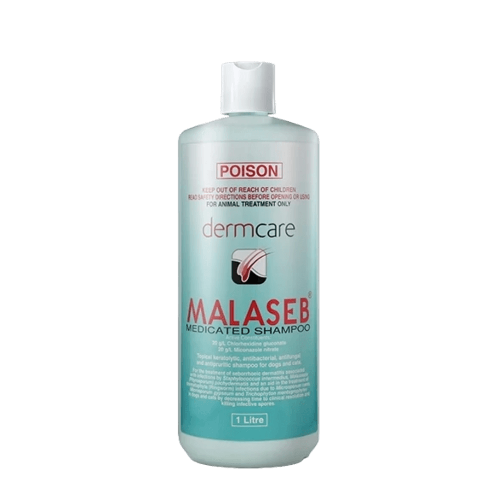 Dermcare Shampoo Malaseb