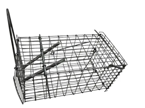 Mouse Rat Trap Humane