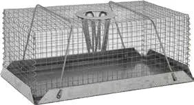 Mouse Trap Top Funnel Large