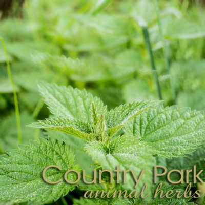 Country Park Nettle Leaf 2.5kg