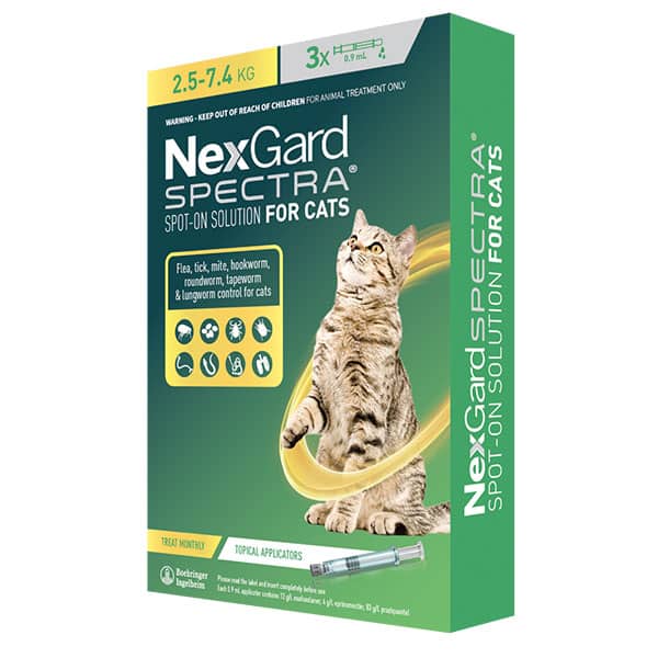 Nexgard Spectra Cat